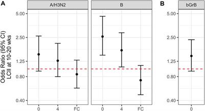 Granzyme B: A Double-Edged Sword in the Response to Influenza Infection in Vaccinated Older Adults